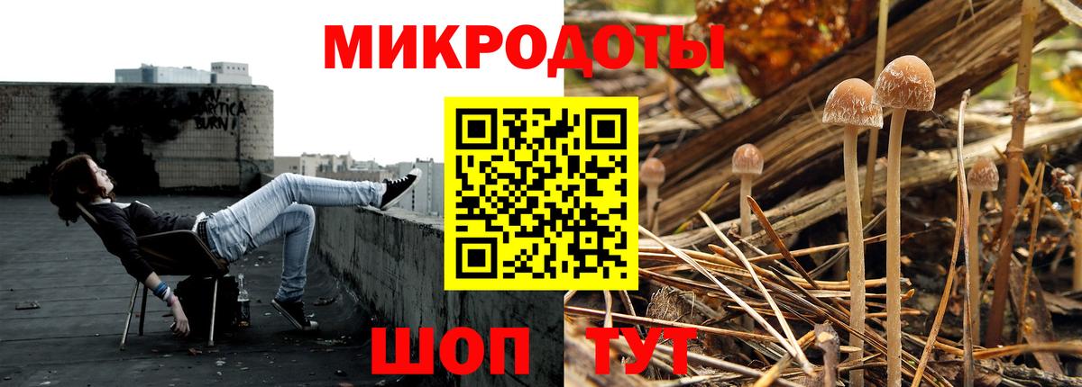 Псилоцибиновые грибы Cubensis  Вход с VPN  купить наркотики сайты  Советская Гавань  Псилоцибиновые грибы Magic Shrooms 